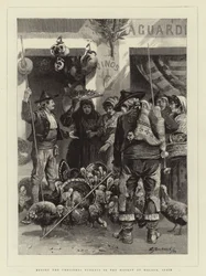 Comprando os perus de Natal no mercado em Málaga, Espanha